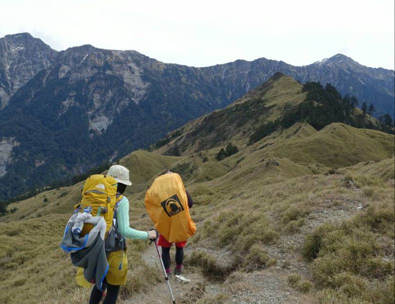 阿里山 (測試資料請勿下單) 